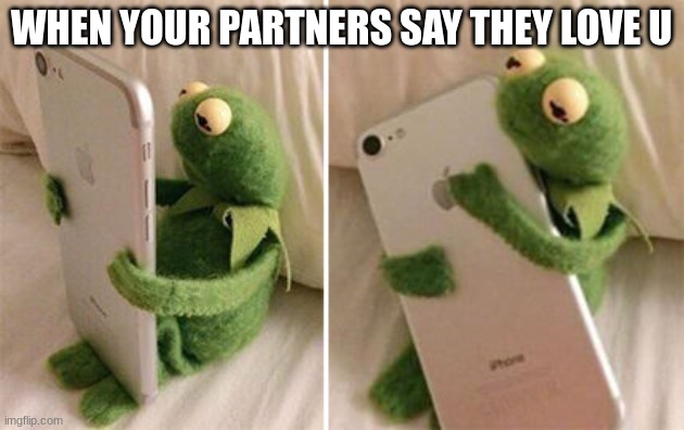 Kermit Hugging Phone | WHEN YOUR PARTNERS SAY THEY LOVE U | image tagged in kermit hugging phone | made w/ Imgflip meme maker