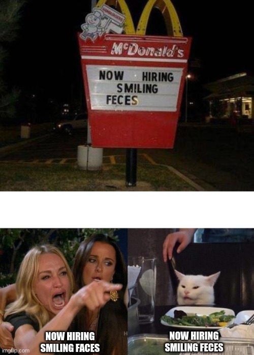 You Had ONE Job... | NOW HIRING SMILING FECES; NOW HIRING SMILING FACES | image tagged in memes,woman yelling at cat,you had one job,mcdonalds,epic fail | made w/ Imgflip meme maker