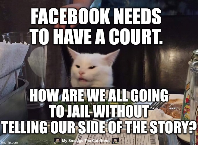 FACEBOOK NEEDS TO HAVE A COURT. HOW ARE WE ALL GOING TO JAIL WITHOUT TELLING OUR SIDE OF THE STORY? | image tagged in smudge the cat | made w/ Imgflip meme maker