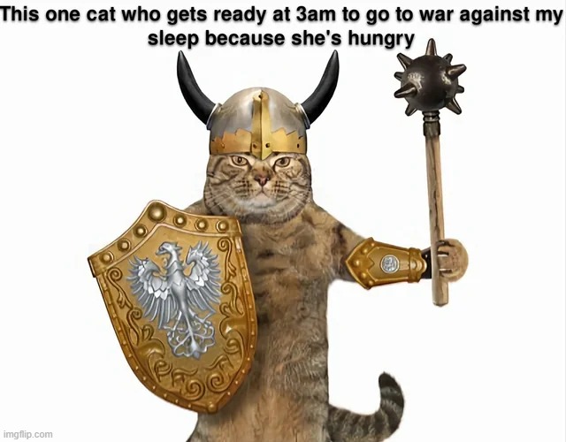 image tagged in cats,repost,memes,funny,war,hungry | made w/ Imgflip meme maker