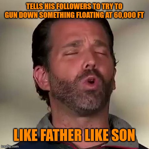 Donald Trump Jr., Don Jr., Cocaine | TELLS HIS FOLLOWERS TO TRY TO GUN DOWN SOMETHING FLOATING AT 60,000 FT LIKE FATHER LIKE SON | image tagged in donald trump jr don jr cocaine | made w/ Imgflip meme maker