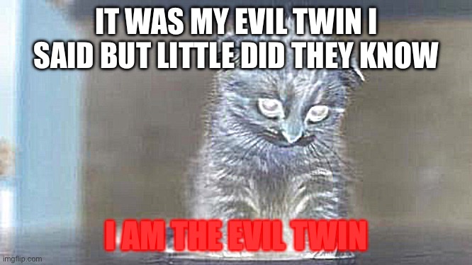 Evil twin | IT WAS MY EVIL TWIN I SAID BUT LITTLE DID THEY KNOW; I AM THE EVIL TWIN | image tagged in sad kitten,nonsence,memes | made w/ Imgflip meme maker