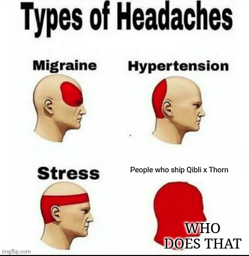Types of Headaches meme | People who ship Qibli x Thorn; WHO DOES THAT | image tagged in types of headaches meme | made w/ Imgflip meme maker