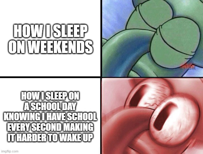 Truth | HOW I SLEEP ON WEEKENDS; HOW I SLEEP ON A SCHOOL DAY KNOWING I HAVE SCHOOL EVERY SECOND MAKING IT HARDER TO WAKE UP | image tagged in sleeping squidward,sleep | made w/ Imgflip meme maker