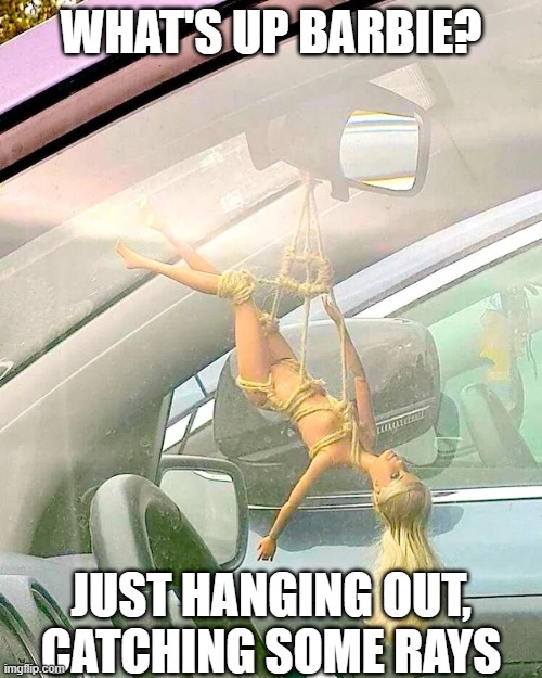 Just Hanging Out | WHAT'S UP BARBIE? JUST HANGING OUT, CATCHING SOME RAYS | image tagged in just hanging out | made w/ Imgflip meme maker