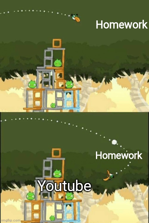 Yes correct | Homework; Homework; Youtube | image tagged in angry birds hal but,memes,rovio | made w/ Imgflip meme maker