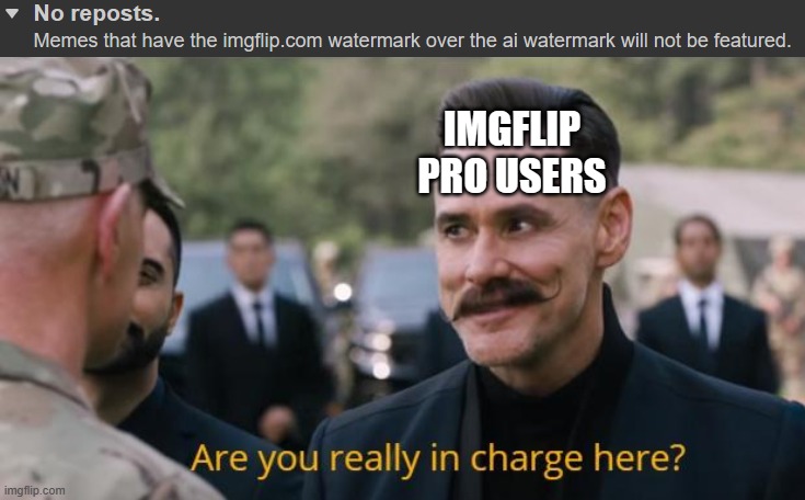 IMGFLIP PRO USERS | image tagged in are you really in charge here | made w/ Imgflip meme maker