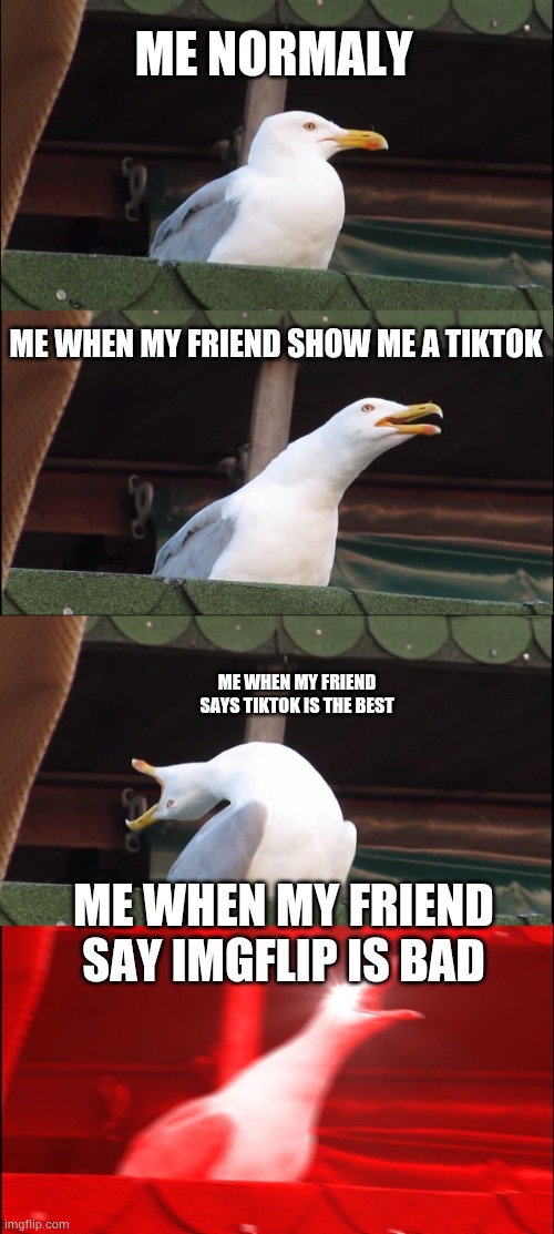 Inhaling Seagull Meme | ME NORMALY; ME WHEN MY FRIEND SHOW ME A TIKTOK; ME WHEN MY FRIEND SAYS TIKTOK IS THE BEST; ME WHEN MY FRIEND SAY IMGFLIP IS BAD | image tagged in memes,inhaling seagull,angry,tiktok sucks | made w/ Imgflip meme maker