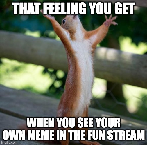 Fr tho | THAT FEELING YOU GET; WHEN YOU SEE YOUR OWN MEME IN THE FUN STREAM | image tagged in finally | made w/ Imgflip meme maker