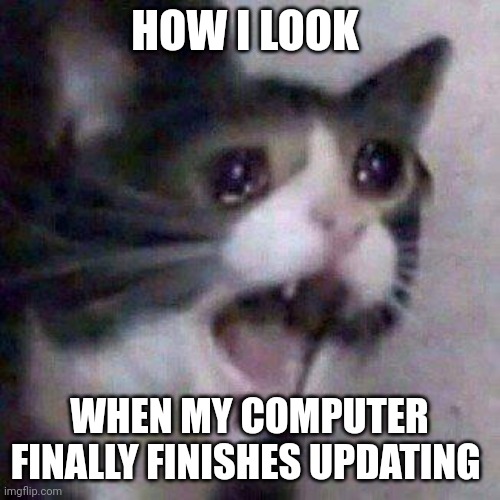 My computer takes forever to update ? | HOW I LOOK; WHEN MY COMPUTER FINALLY FINISHES UPDATING | image tagged in cat screaming | made w/ Imgflip meme maker