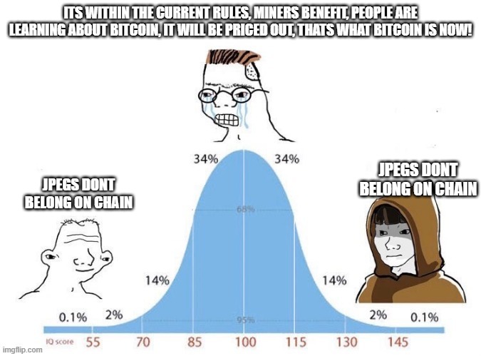 Bell Curve | ITS WITHIN THE CURRENT RULES, MINERS BENEFIT, PEOPLE ARE LEARNING ABOUT BITCOIN, IT WILL BE PRICED OUT, THATS WHAT BITCOIN IS NOW! JPEGS DONT BELONG ON CHAIN; JPEGS DONT BELONG ON CHAIN | image tagged in bell curve | made w/ Imgflip meme maker