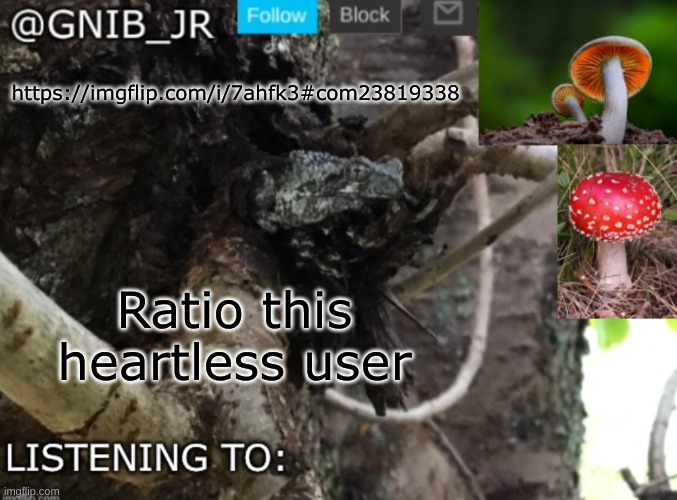 Get him to delete his account boys | https://imgflip.com/i/7ahfk3#com23819338; Ratio this heartless user | image tagged in gnib_jr's new temp | made w/ Imgflip meme maker
