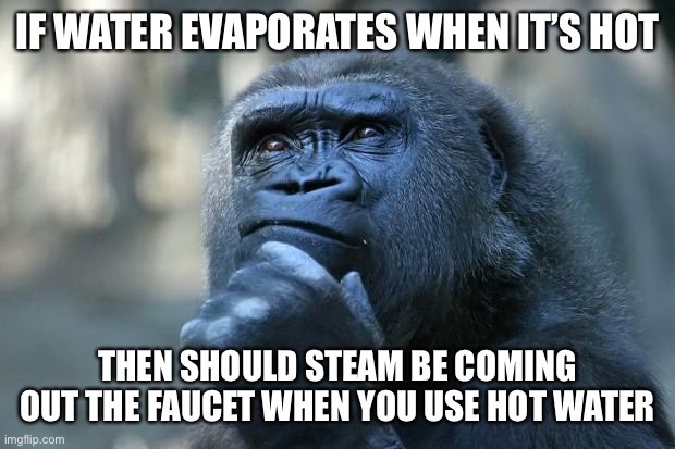 I remembered this from three hours ago. | IF WATER EVAPORATES WHEN IT’S HOT; THEN SHOULD STEAM BE COMING OUT THE FAUCET WHEN YOU USE HOT WATER | image tagged in deep thoughts | made w/ Imgflip meme maker