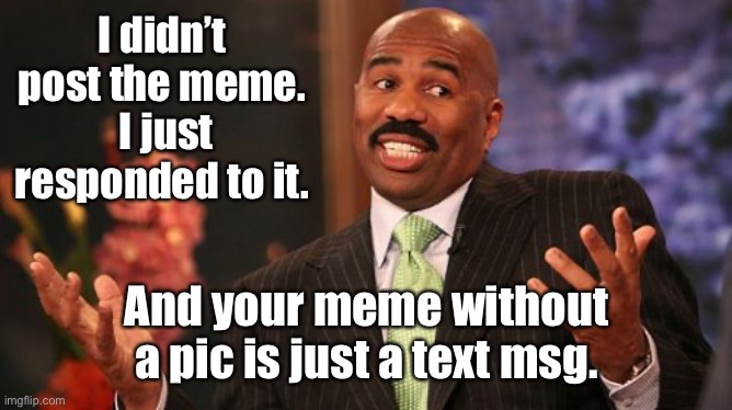 Steve Harvey Meme | I didn’t post the meme.  I just responded to it. And your meme without a pic is just a text msg. | image tagged in memes,steve harvey | made w/ Imgflip meme maker