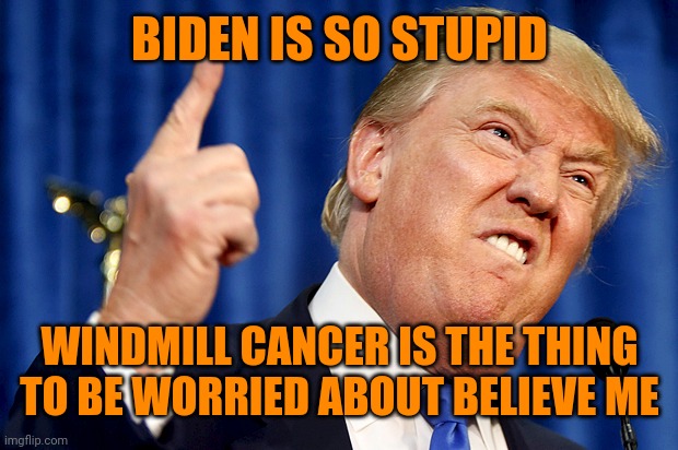 Donald Trump | BIDEN IS SO STUPID WINDMILL CANCER IS THE THING TO BE WORRIED ABOUT BELIEVE ME | image tagged in donald trump | made w/ Imgflip meme maker