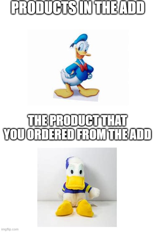 so true though | PRODUCTS IN THE ADD; THE PRODUCT THAT YOU ORDERED FROM THE ADD | image tagged in funny meme | made w/ Imgflip meme maker