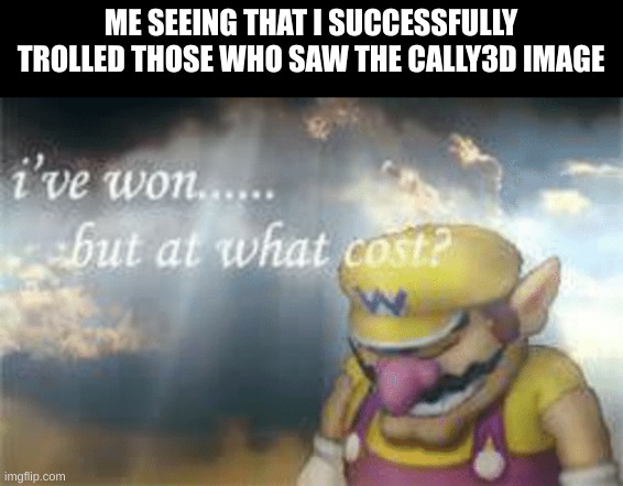 I feel like dirt. It wasn't worth the troll. | ME SEEING THAT I SUCCESSFULLY TROLLED THOSE WHO SAW THE CALLY3D IMAGE | image tagged in i've won but at what cost | made w/ Imgflip meme maker