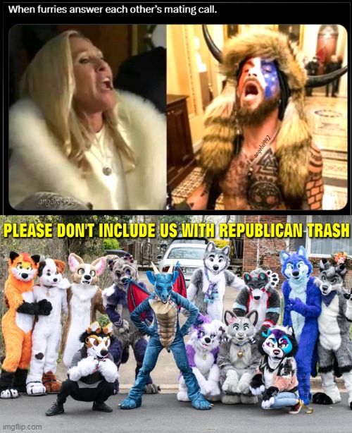 image tagged in marjorie taylor greene,furries,clown car republicans,fursuit,maga morons,georgia | made w/ Imgflip meme maker