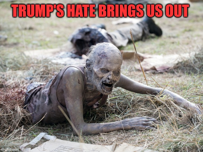 The Walking Dead Crawling Zombie | TRUMP'S HATE BRINGS US OUT | image tagged in the walking dead crawling zombie | made w/ Imgflip meme maker