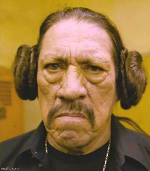 Danny Trejo Princess Leia | image tagged in danny trejo princess leia | made w/ Imgflip meme maker