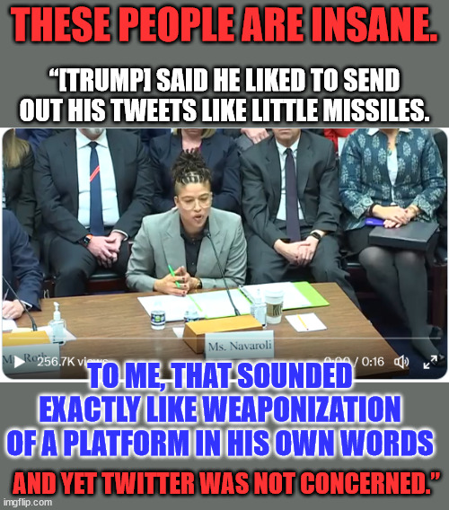 Twitter nazi libs try to justify their censorship... | THESE PEOPLE ARE INSANE. “[TRUMP] SAID HE LIKED TO SEND OUT HIS TWEETS LIKE LITTLE MISSILES. TO ME, THAT SOUNDED EXACTLY LIKE WEAPONIZATION OF A PLATFORM IN HIS OWN WORDS; AND YET TWITTER WAS NOT CONCERNED.” | image tagged in twitter,nazi,triggered liberal,censorship | made w/ Imgflip meme maker