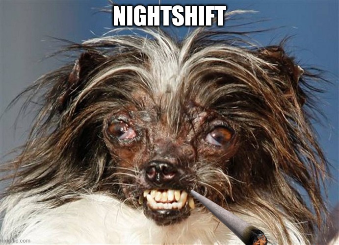 ugly dog | NIGHTSHIFT | image tagged in ugly dog | made w/ Imgflip meme maker