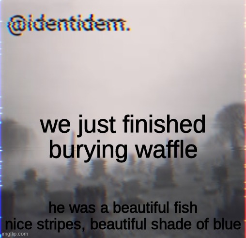 i miss him already | we just finished burying waffle; he was a beautiful fish
nice stripes, beautiful shade of blue | made w/ Imgflip meme maker