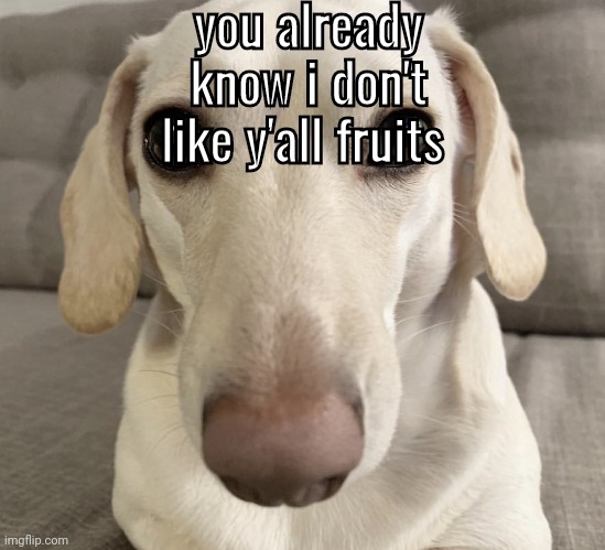 i know what you are | you already know i don't like y'all fruits | image tagged in homophobic dog | made w/ Imgflip meme maker