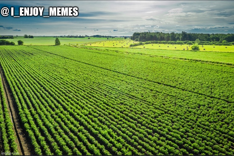 High Quality I_enjoy_memes_template Blank Meme Template