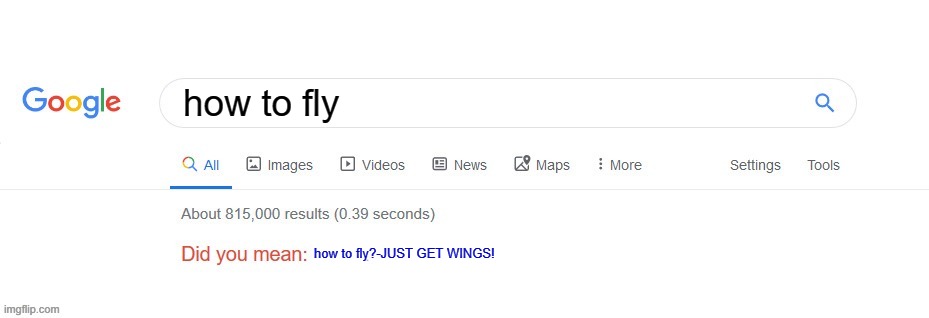 Fly | how to fly; how to fly?-JUST GET WINGS! | image tagged in did you mean,funny,fly,google search | made w/ Imgflip meme maker
