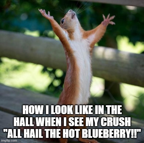 finally | HOW I LOOK LIKE IN THE HALL WHEN I SEE MY CRUSH "ALL HAIL THE HOT BLUEBERRY!!" | image tagged in finally | made w/ Imgflip meme maker