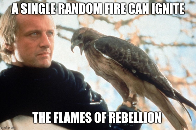 Ignite | A SINGLE RANDOM FIRE CAN IGNITE; THE FLAMES OF REBELLION | image tagged in that would be great | made w/ Imgflip meme maker