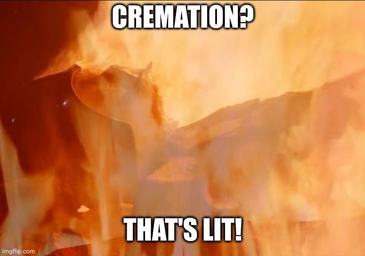 darth vader cremation | CREMATION? THAT'S LIT! | image tagged in darth vader cremation | made w/ Imgflip meme maker
