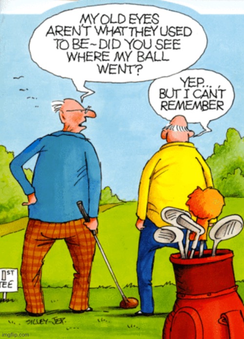 Lost ball | image tagged in golf,see my ball,yes,but cannot remember,old men,comics | made w/ Imgflip meme maker