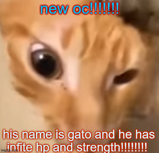 this is a joke | new oc!!!!!!! his name is gato and he has infite hp and strength!!!!!!!! | image tagged in el gato | made w/ Imgflip meme maker