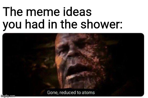 I lost an idea I had in the shower and it's devastating | The meme ideas you had in the shower: | image tagged in gone reduced to atoms | made w/ Imgflip meme maker