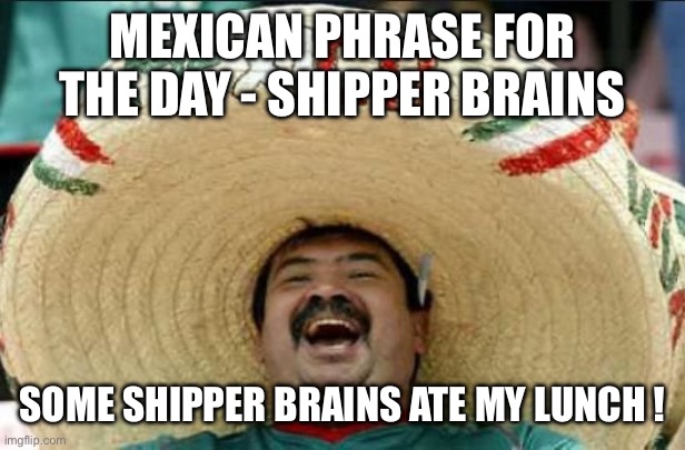 mexican word of the day | MEXICAN PHRASE FOR THE DAY - SHIPPER BRAINS; SOME SHIPPER BRAINS ATE MY LUNCH ! | image tagged in mexican word of the day | made w/ Imgflip meme maker