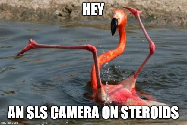SLS Camera Flamingo | HEY; AN SLS CAMERA ON STEROIDS | image tagged in flamingo fail | made w/ Imgflip meme maker