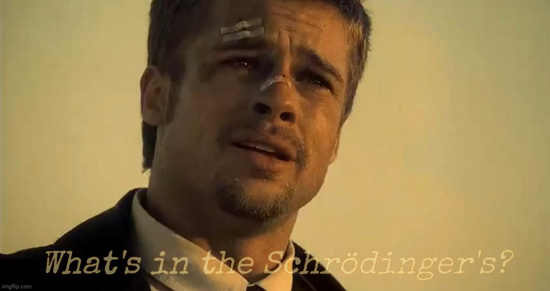 What state is it in? | What's in the Schrödinger's? | image tagged in schrodinger's box,what's in the box,se7en,brad pitt | made w/ Imgflip meme maker