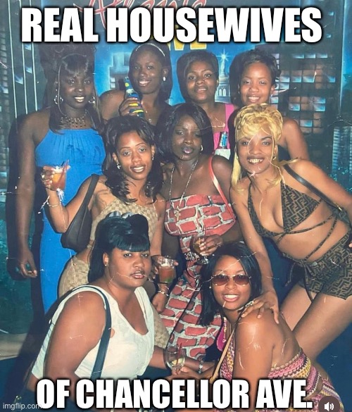REAL HOUSEWIVES; OF CHANCELLOR AVE. | image tagged in funny memes | made w/ Imgflip meme maker