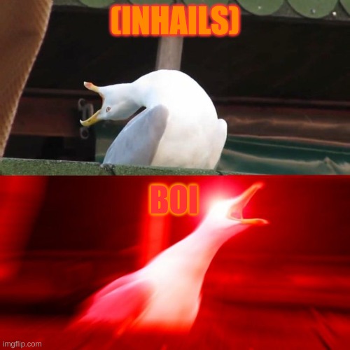 BOY seagull | (INHAILS) BOI | image tagged in boy seagull | made w/ Imgflip meme maker