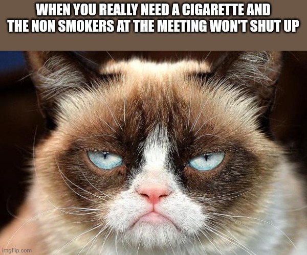 Grumpy Cat Not Amused | WHEN YOU REALLY NEED A CIGARETTE AND THE NON SMOKERS AT THE MEETING WON'T SHUT UP | image tagged in memes,grumpy cat not amused,grumpy cat | made w/ Imgflip meme maker