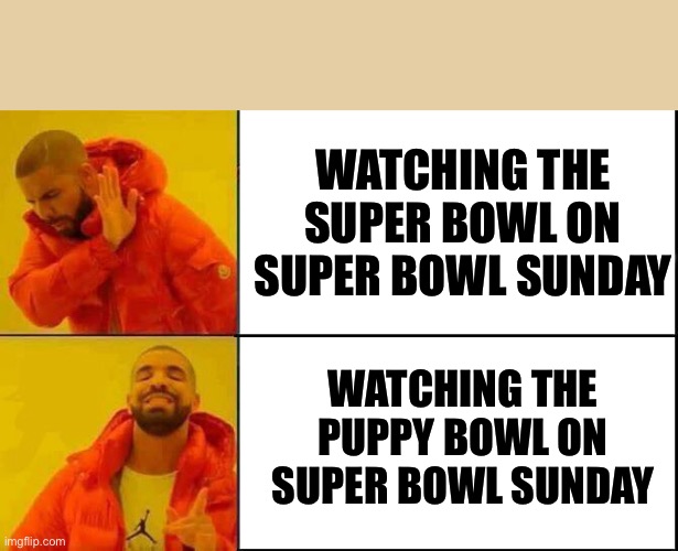 Puppy bowl is better than Super Bowl | WATCHING THE SUPER BOWL ON SUPER BOWL SUNDAY; WATCHING THE PUPPY BOWL ON SUPER BOWL SUNDAY | image tagged in this or that drake,puppy bowl,superbowl | made w/ Imgflip meme maker
