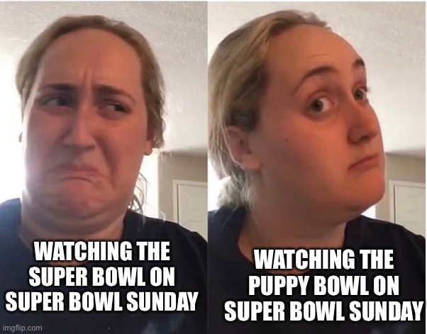 Puppy bowl is better than super bowl | WATCHING THE PUPPY BOWL ON
SUPER BOWL SUNDAY; WATCHING THE SUPER BOWL ON
SUPER BOWL SUNDAY | image tagged in hmmm,puppy bowl,superbowl | made w/ Imgflip meme maker
