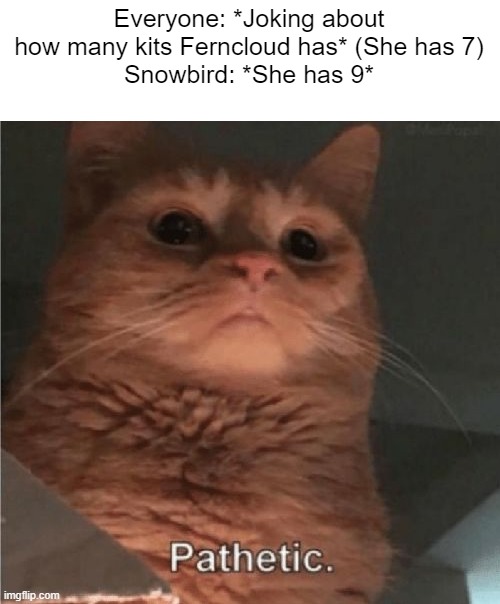 PATHETIC | Everyone: *Joking about how many kits Ferncloud has* (She has 7)
Snowbird: *She has 9* | image tagged in pathetic cat | made w/ Imgflip meme maker