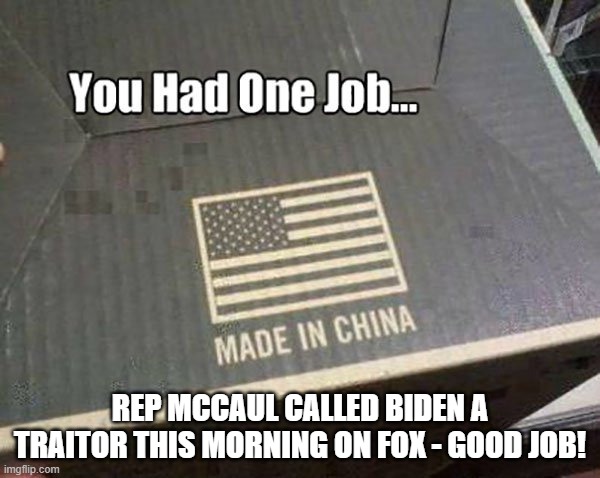 You had one job | REP MCCAUL CALLED BIDEN A TRAITOR THIS MORNING ON FOX - GOOD JOB! | image tagged in you had one job | made w/ Imgflip meme maker