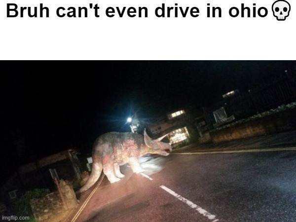 Bruh can't even drive in ohio💀 | image tagged in funny,only in ohio | made w/ Imgflip meme maker