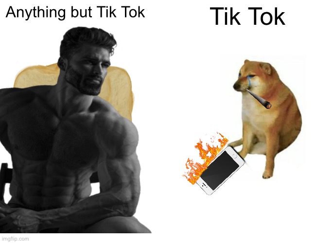 True | Anything but Tik Tok; Tik Tok | image tagged in so true | made w/ Imgflip meme maker