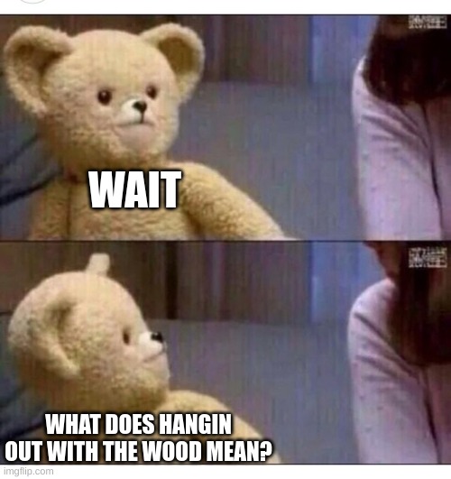 Wait what?? | WAIT WHAT DOES HANGIN OUT WITH THE WOOD MEAN? | image tagged in wait what | made w/ Imgflip meme maker