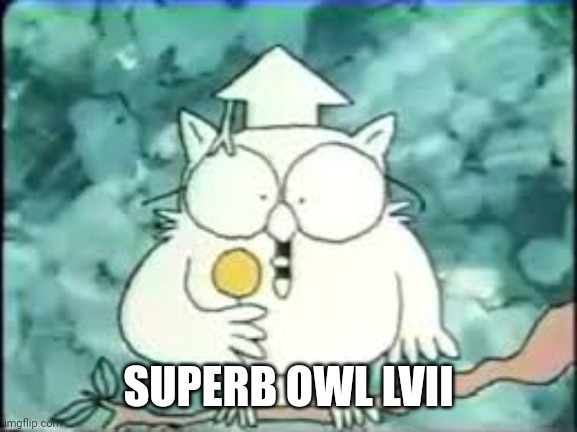 tootsie pop owl | SUPERB OWL LVII | image tagged in tootsie pop owl,superbowl,lvii,bad puns,funny memes | made w/ Imgflip meme maker